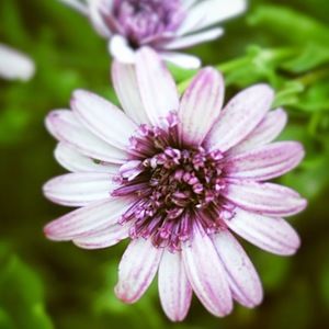 Meet your Posher, Cinya